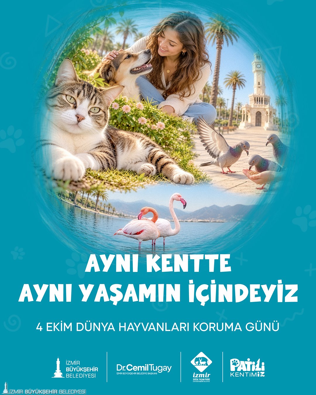 Bir yuva, bir canın hayatını değiştirir